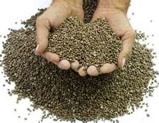 Pellets In Hand